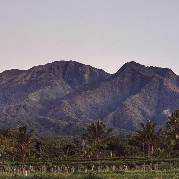 Tetebatu Mountain View Homestay Eksteriør billede