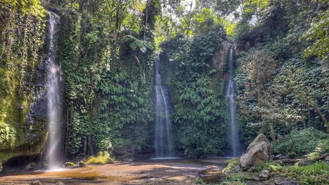Tetebatu Mountain View Homestay Eksteriør billede