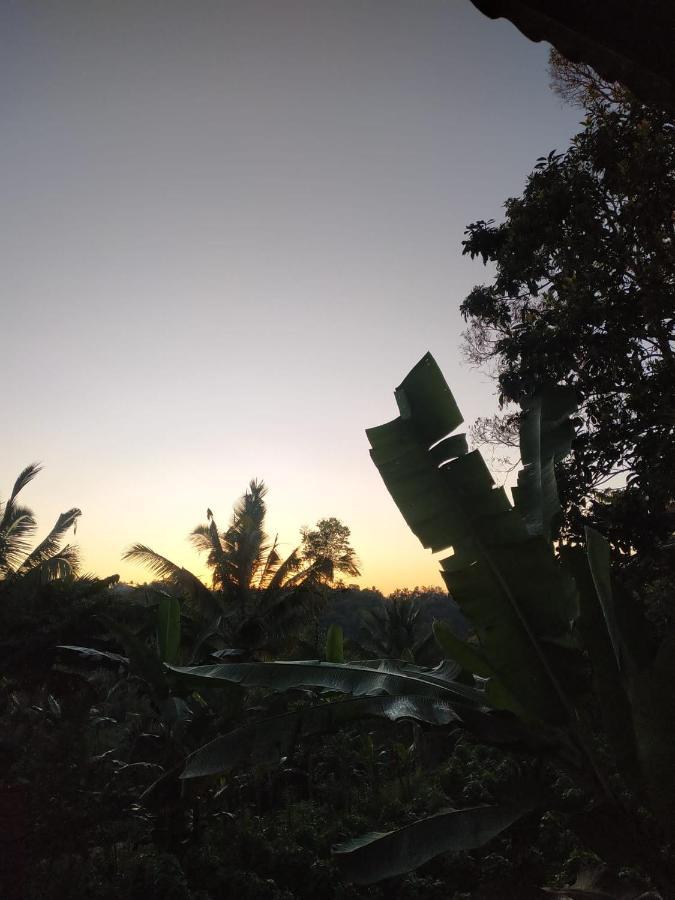Tetebatu Mountain View Homestay Eksteriør billede