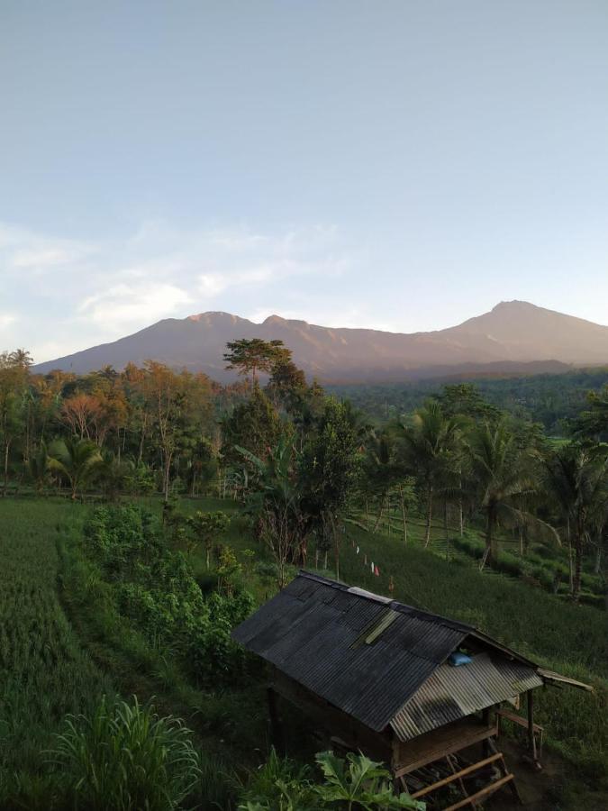 Tetebatu Mountain View Homestay Eksteriør billede
