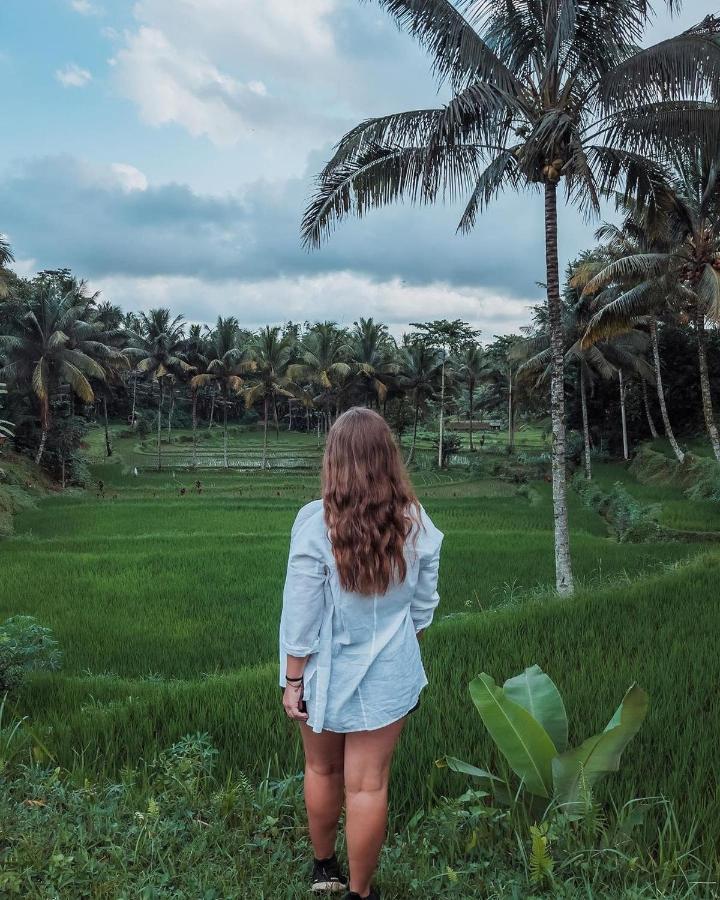 Tetebatu Mountain View Homestay Eksteriør billede