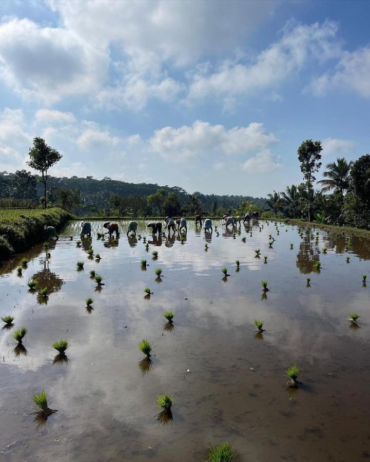 Tetebatu Mountain View Homestay Eksteriør billede