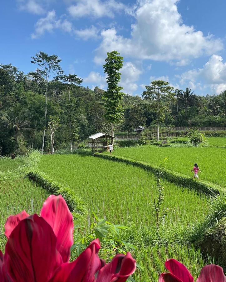 Tetebatu Mountain View Homestay Eksteriør billede