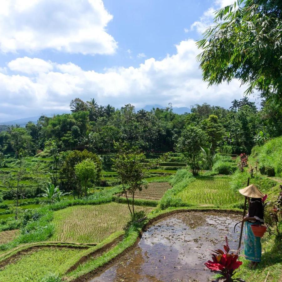 Tetebatu Mountain View Homestay Eksteriør billede
