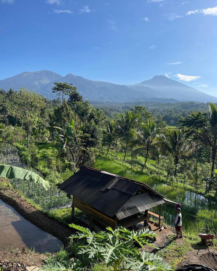 Tetebatu Mountain View Homestay Eksteriør billede