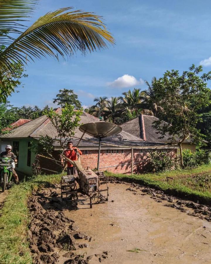 Tetebatu Mountain View Homestay Eksteriør billede
