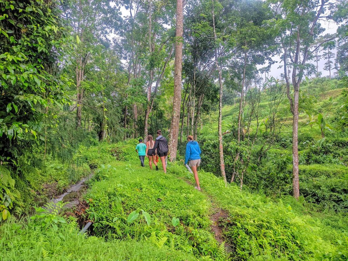 Tetebatu Mountain View Homestay Eksteriør billede