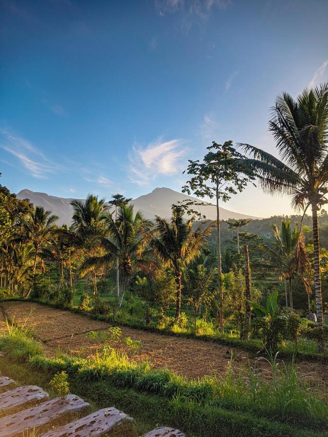 Tetebatu Mountain View Homestay Eksteriør billede