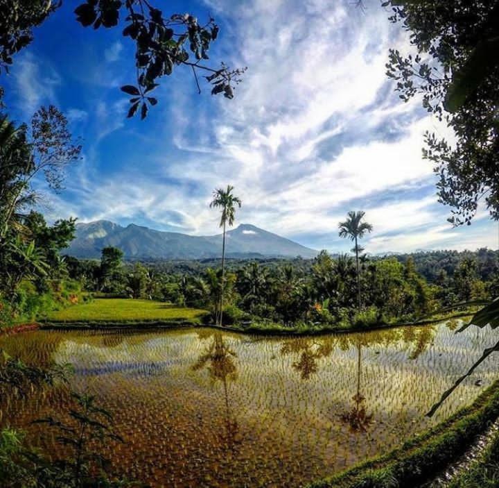 Tetebatu Mountain View Homestay Værelse billede
