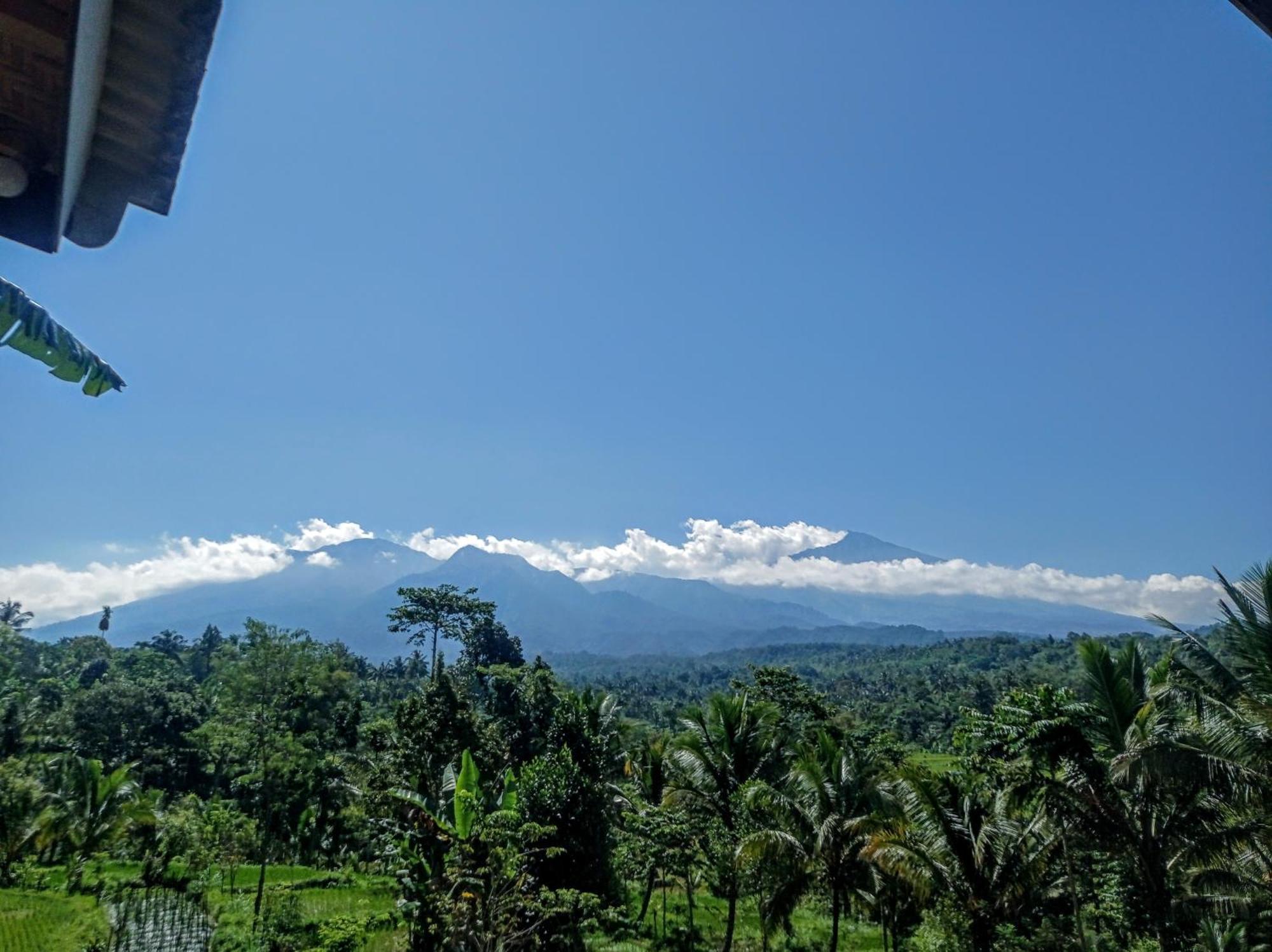 Tetebatu Mountain View Homestay Værelse billede