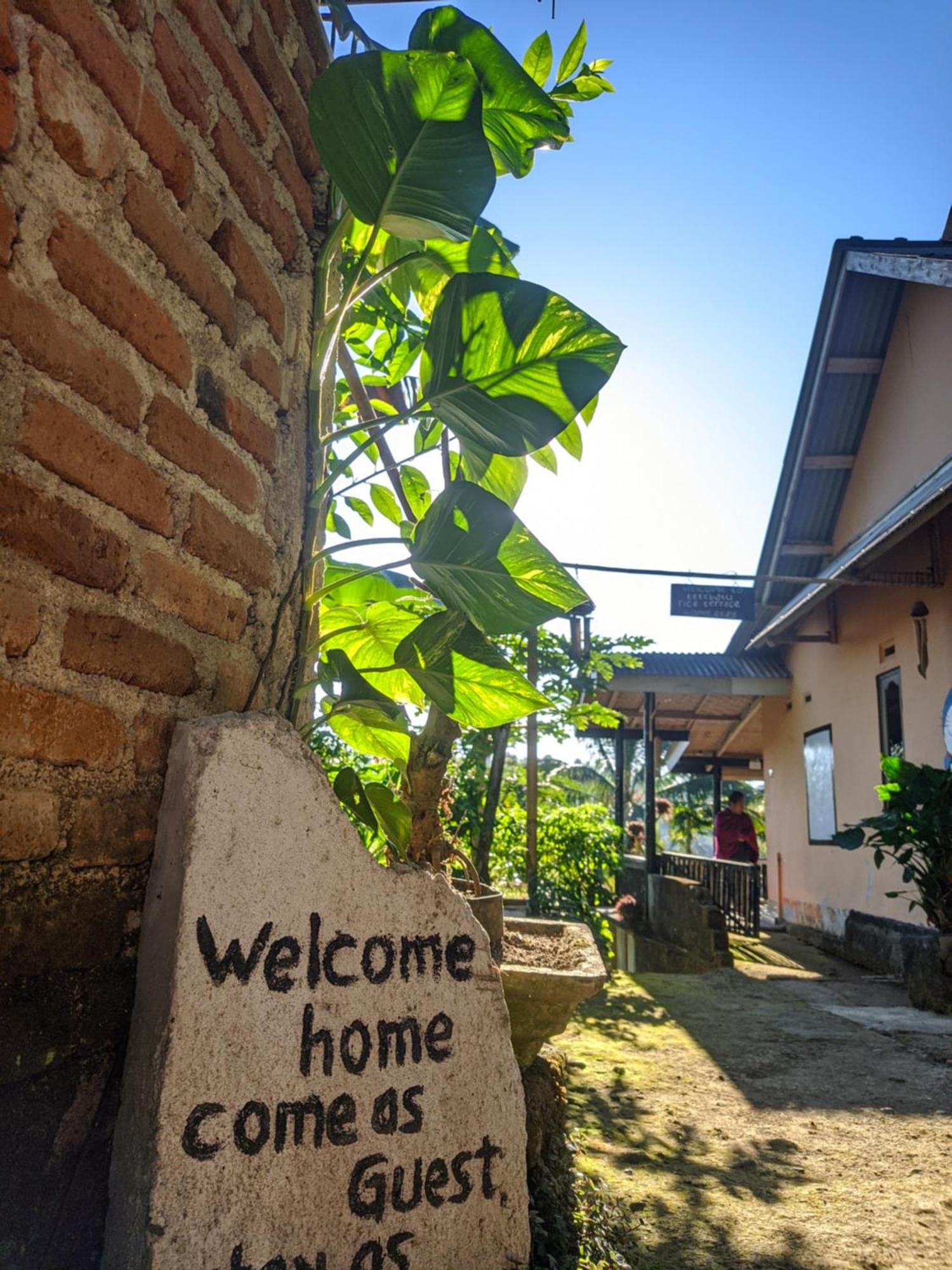 Tetebatu Mountain View Homestay Værelse billede